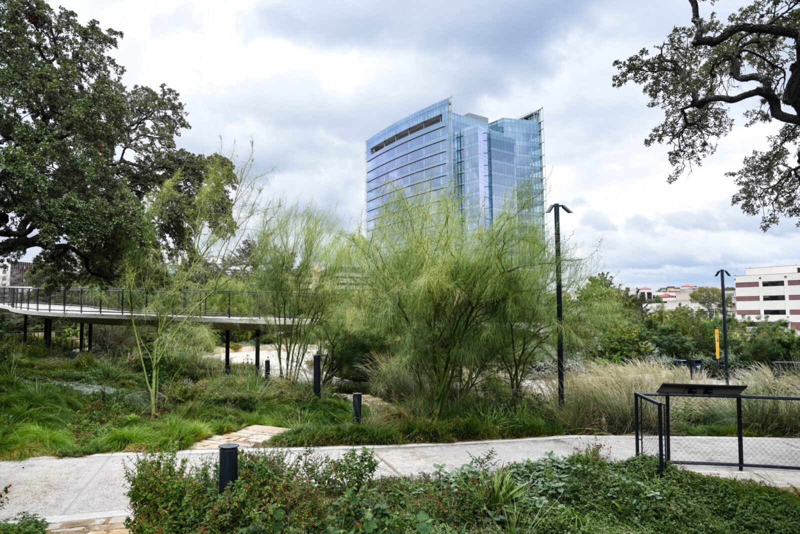 A walkway through a lush green city park