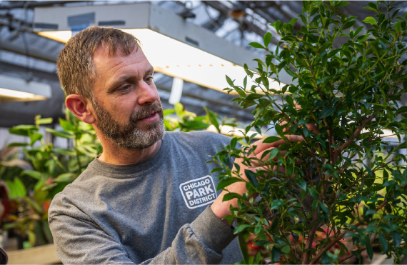 A man in a greenhouse tending to a plant