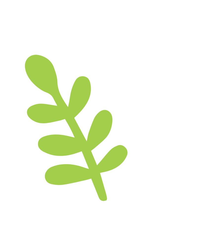 Green icon of a leaf