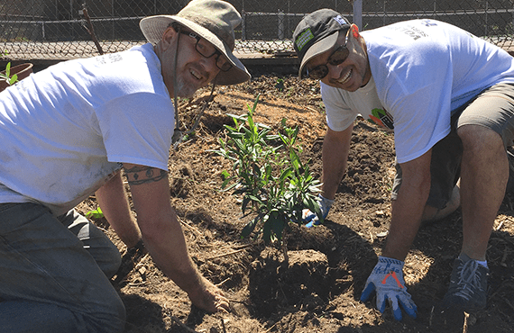 Volunteers at Mountain Lake, Presidio Greater & Geener Volunteer Service Day.