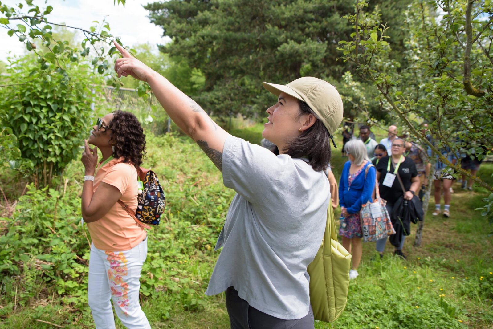 Food-Desert-to-Festival-72