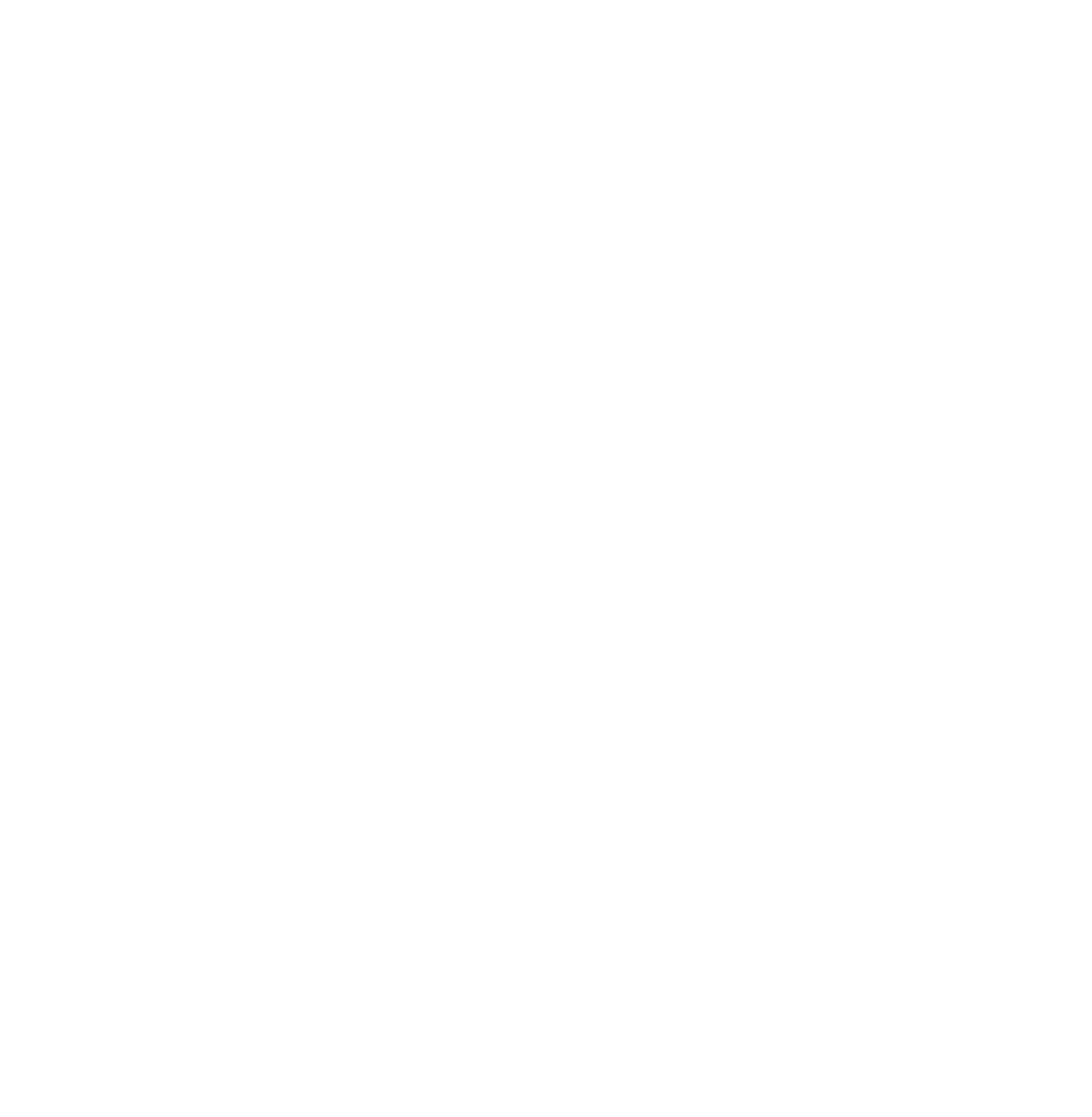 A white download icon