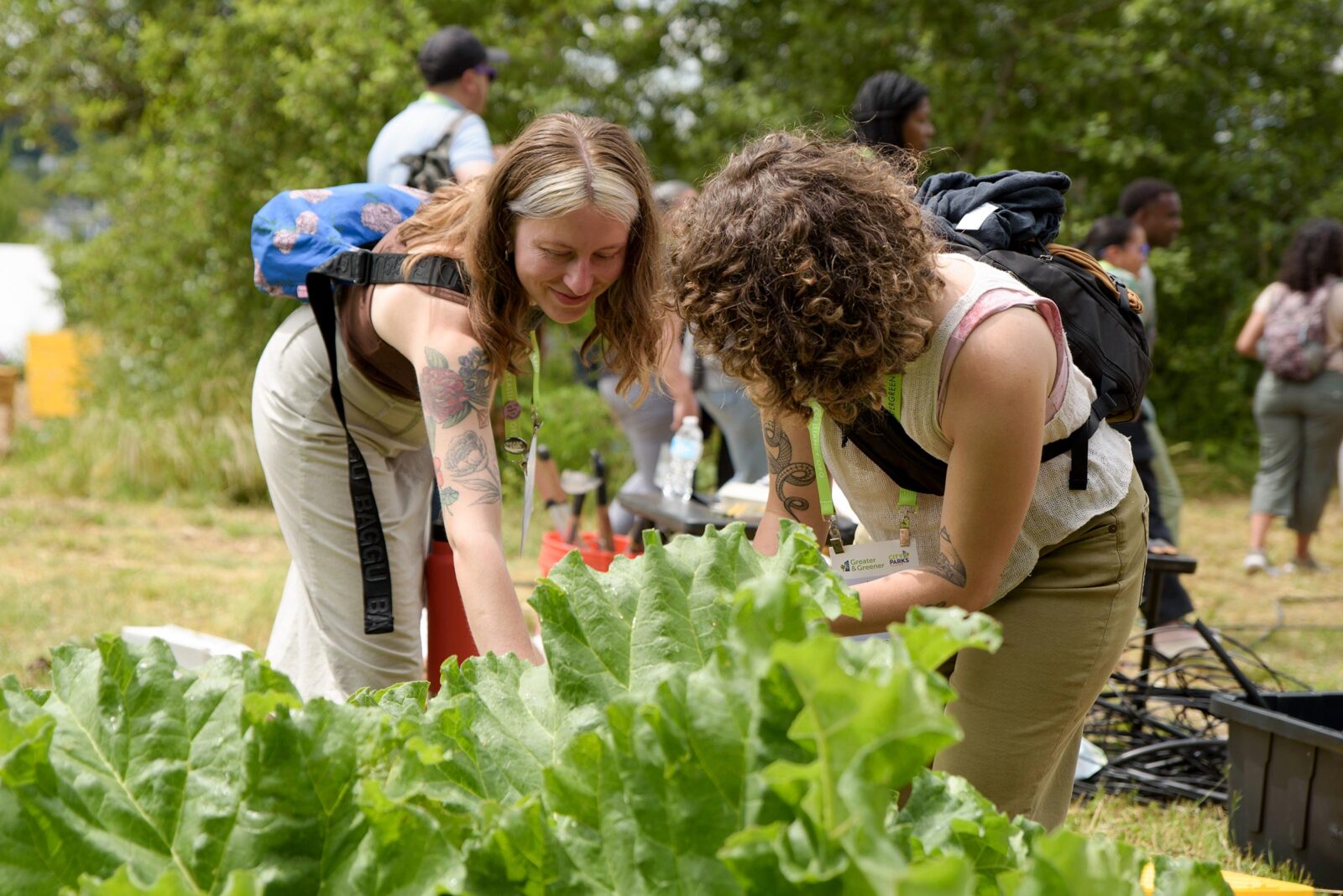 Two women bending over and touching lettuce in a community garden