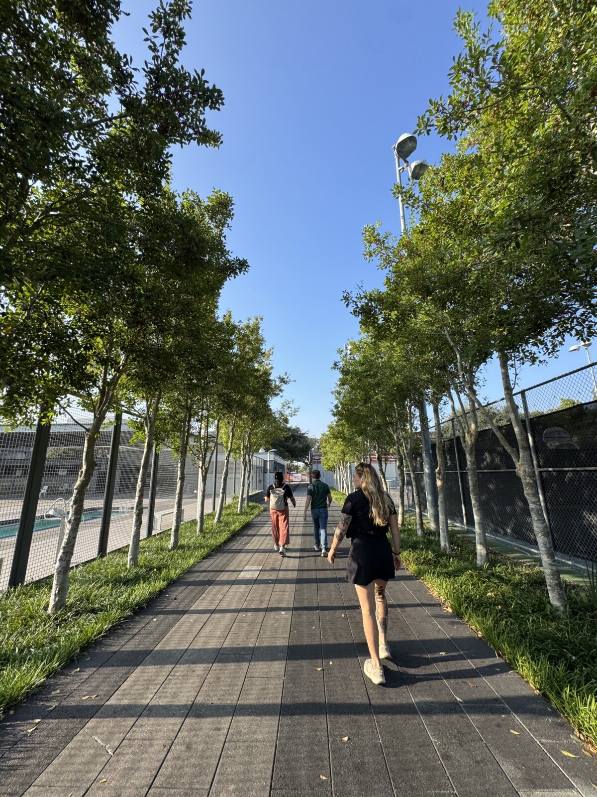 Three people walking through a tree-lined path