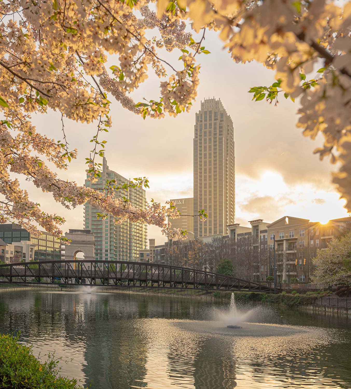 Atlanta skyscrapers, river, bridge vignetted by blooming cherry blossoms
