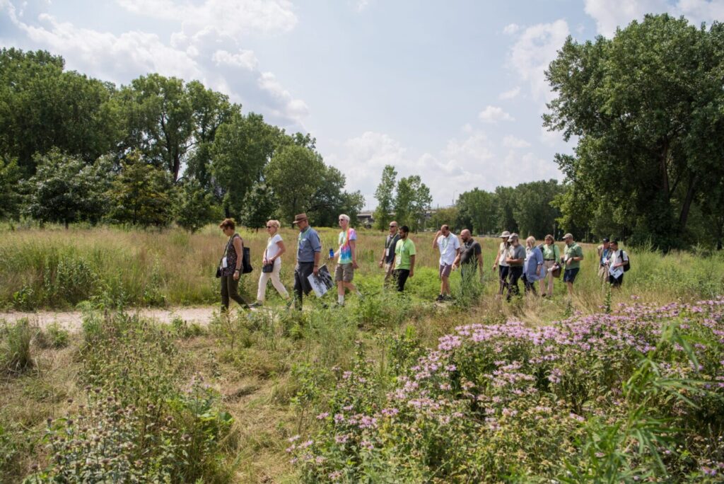A group of people walking a path among wildflowers