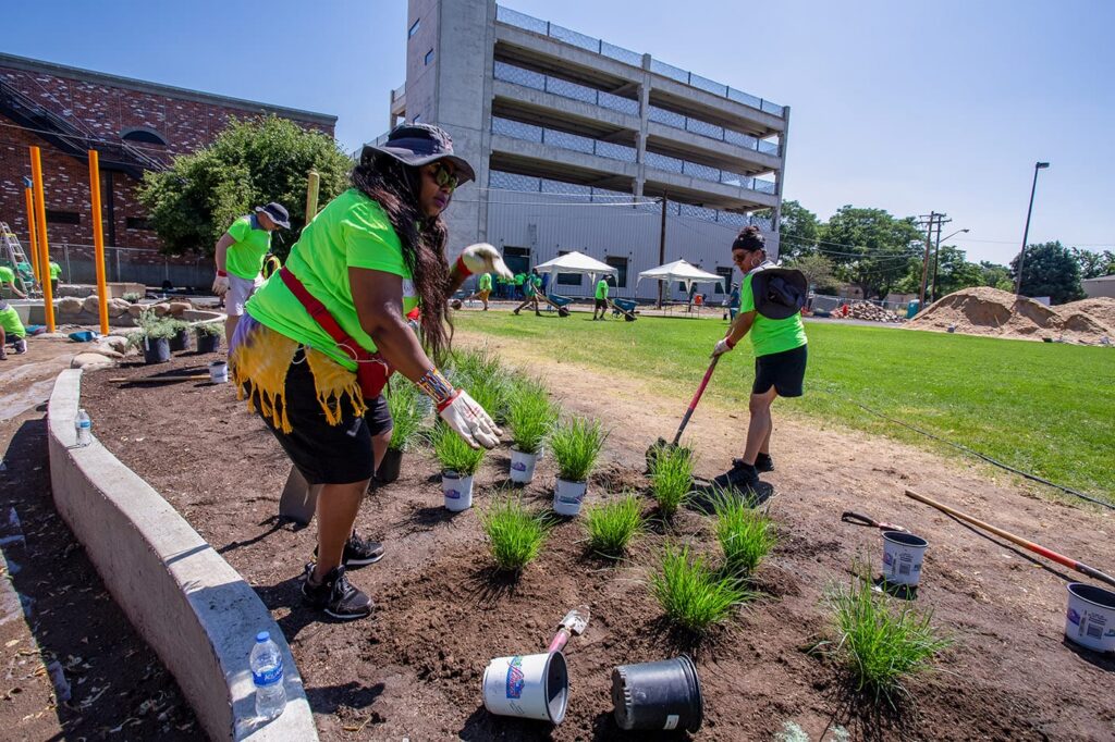 Volunteers planting shrubs in a park