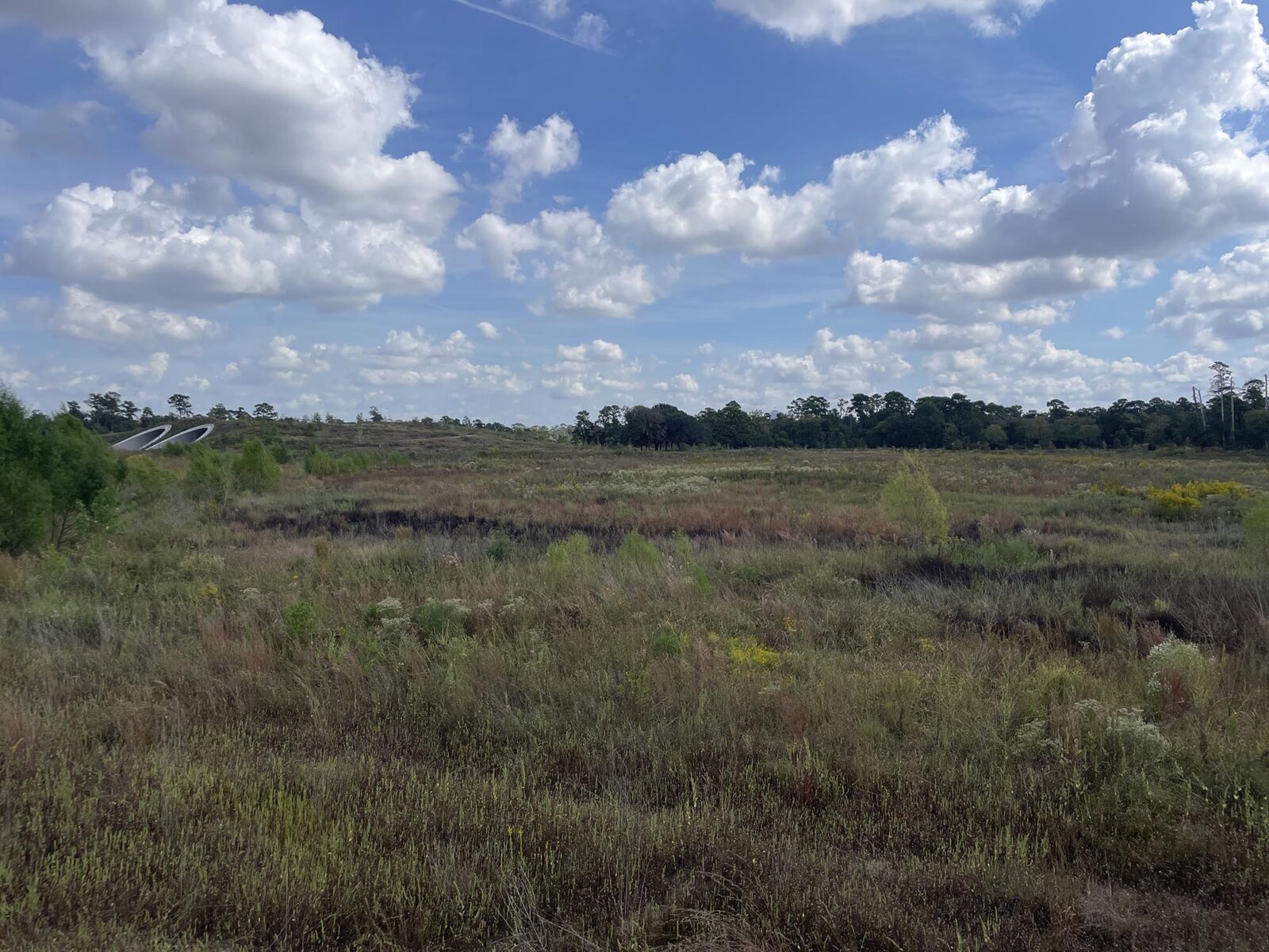 Houston Park Study Tour 21