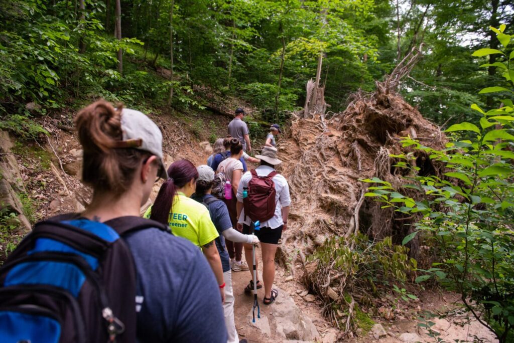 Hikers observing tree roots on a trail