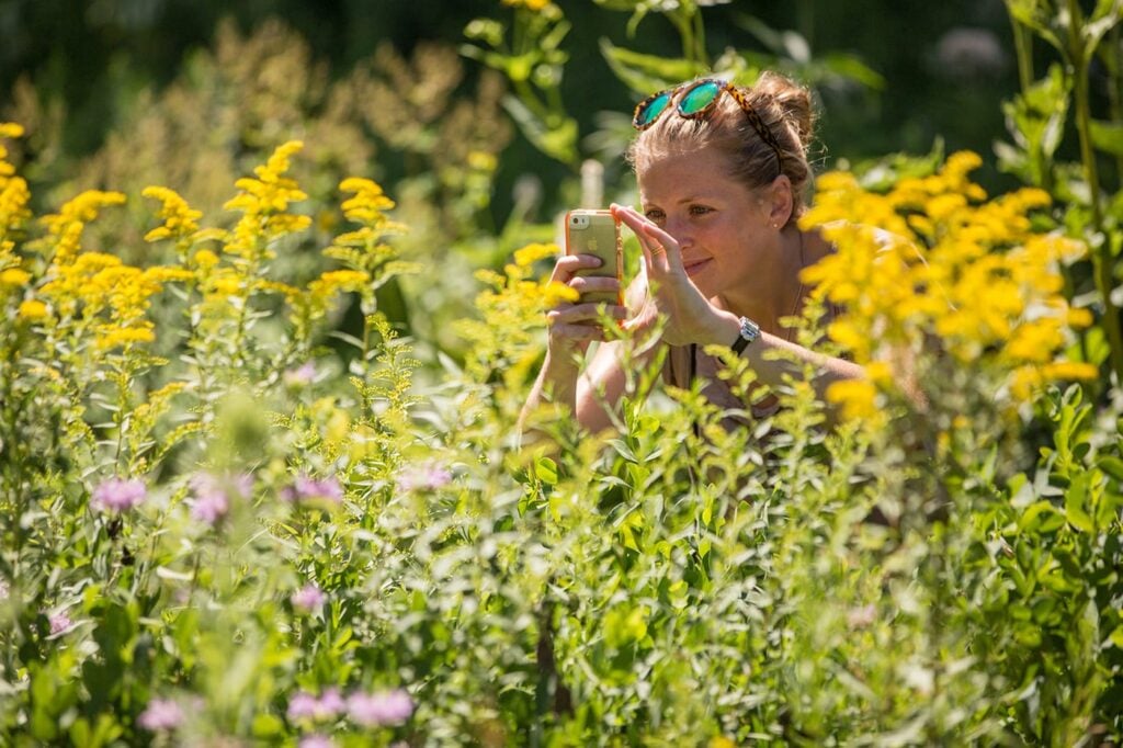 A woman taking a picture of wildflowers
