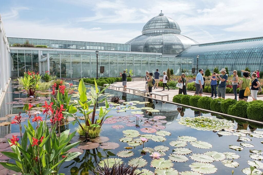 A group of people looking at a water feature at a botanical garden