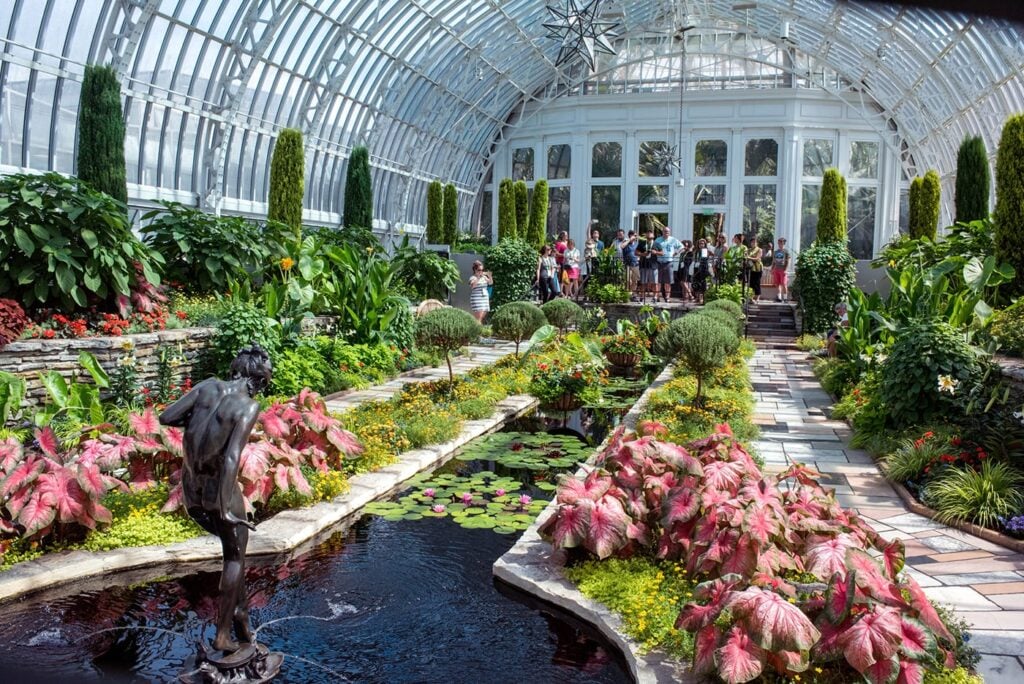 A group of people looking at a lush indoor garden at a botanical garden