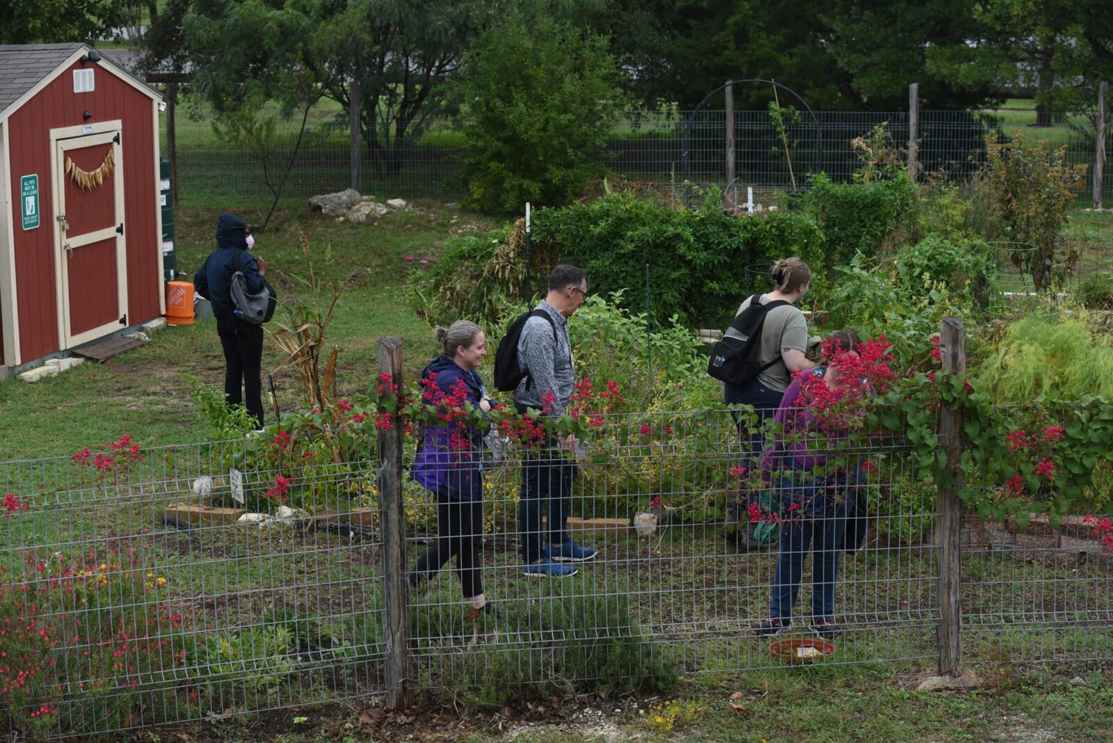 Park Study Tour attendees observing an urban garden