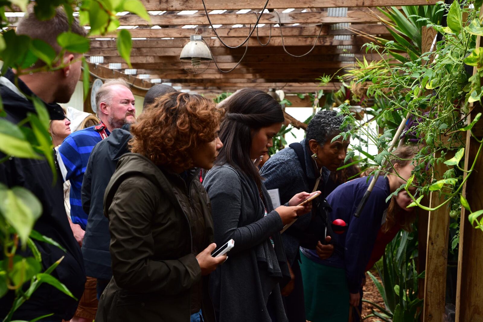 Park Study Tour attendees observing an urban garden