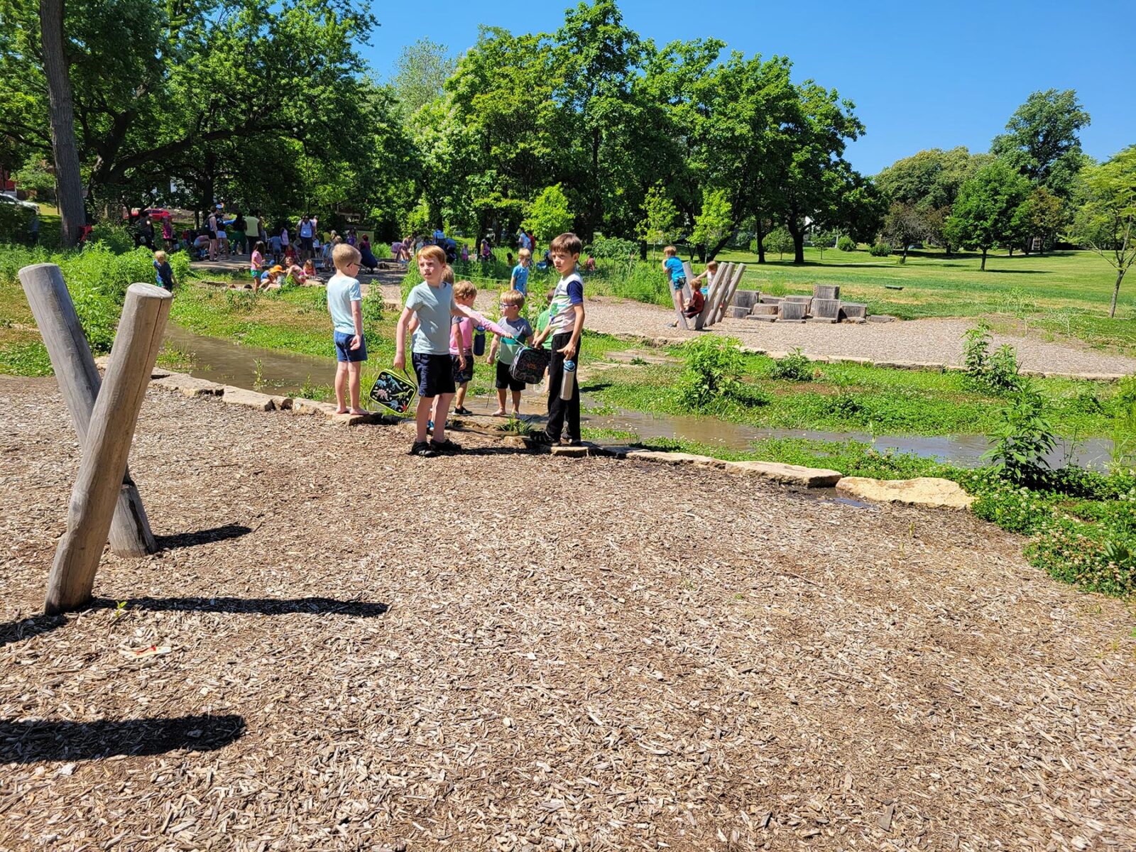A group of kids looking into the distance at a lush green park